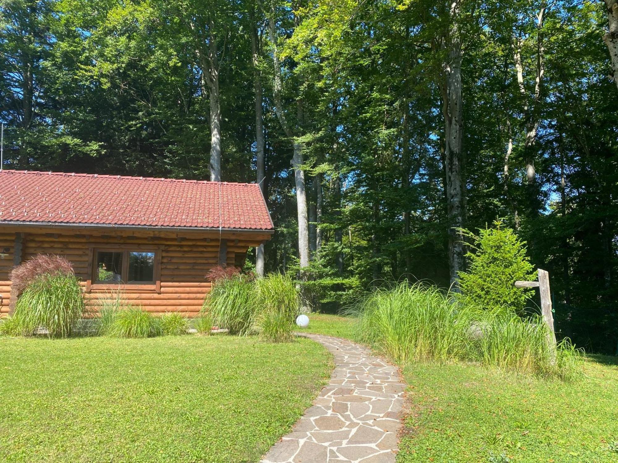 Huette Am Wald Villa Hof bei Salzburg Exterior photo